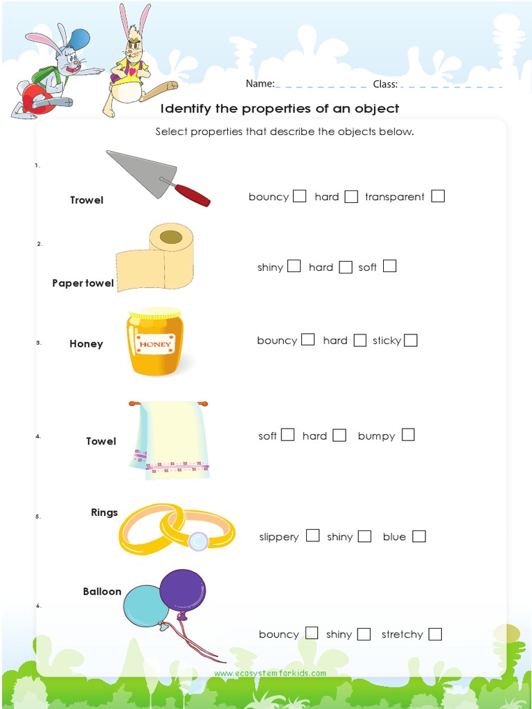 Identify Properties of Objects PDF