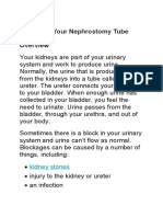 Caring For Your Nephrostomy Tube: Kidney Stones