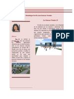 Artículo Final Revista Metodología PACIE en los Entornos Virtuales 3Da