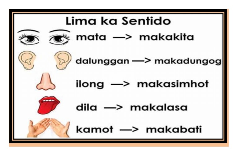 5 Senses Bisaya | PDF