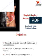 Embriolog A y Anatom A Renal Galileo Parte I Dra. Maaz