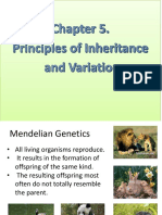 chapter5principlesofinheritanceandvariation-190408170122