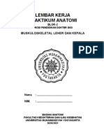 Lembar Kerja Praktikum Anatomi Muskuloskeletal Caput Et Colli Blok 2 PSPDG 2020