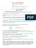 TEMA 1-Numeros Reales PDF