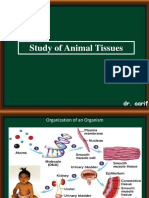 Study of Animal Tissues: Dr. Aarif