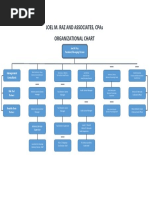 Joel M. Raz and Associates, Cpas Organizational Chart: Management Consultants