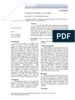 Anaplasma Marginale: Infection in A Buffalo: A Case Report