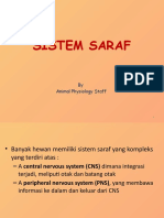 Sistem Saraf: Struktur dan Fungsi Utama