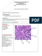 Guía Práctica Hito 3 PDF