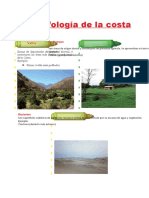 Geomorfología de La Costa para Quinto Grado de Primaria 1 2