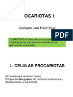 Procariotas.1 PDF