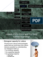 Human Evolution and Early Cultural Beginnings