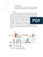 Patogenesis Dan Patofisiologi DM Tipe 2 Punya Alfi