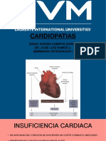 Dacz Cardio PDF