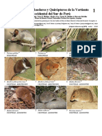 2018 Guia de marsupiales, roedores y murcielagos del occidente del sur de Peru - Field Guides 1079.pdf