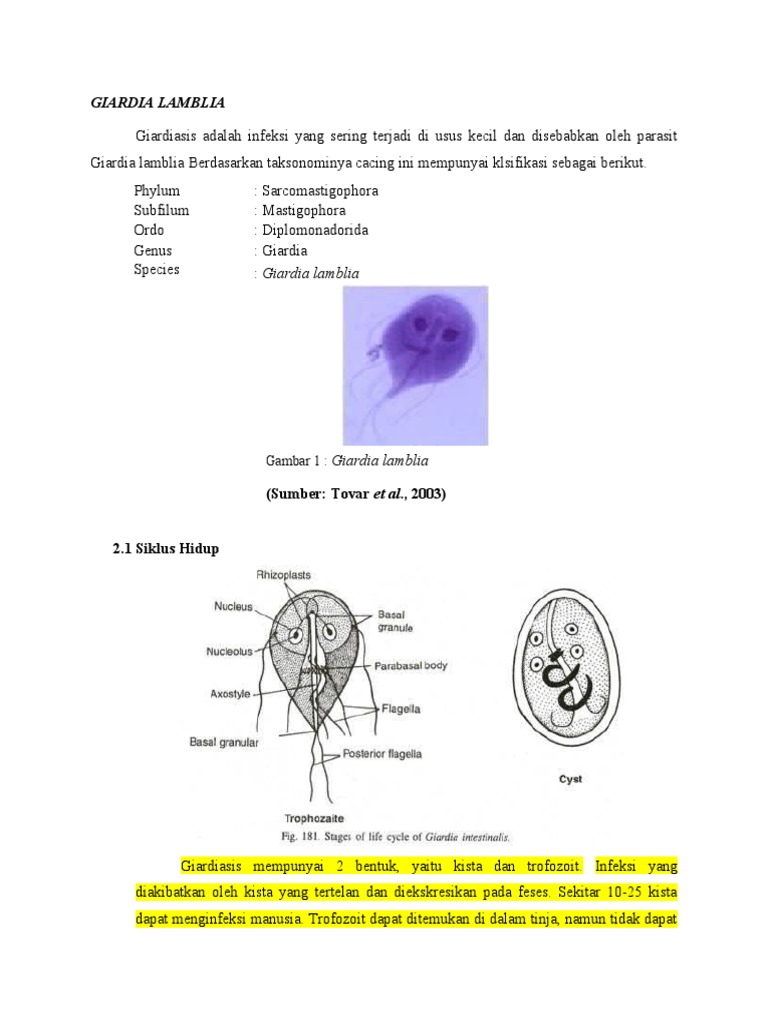Giardia Lamblia | PDF