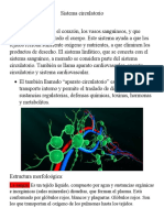 Sistemas Circulatorio y Linfatico