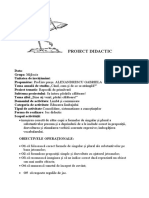 Proiect Didactic DLC Joc Didactic GR Mijlocie