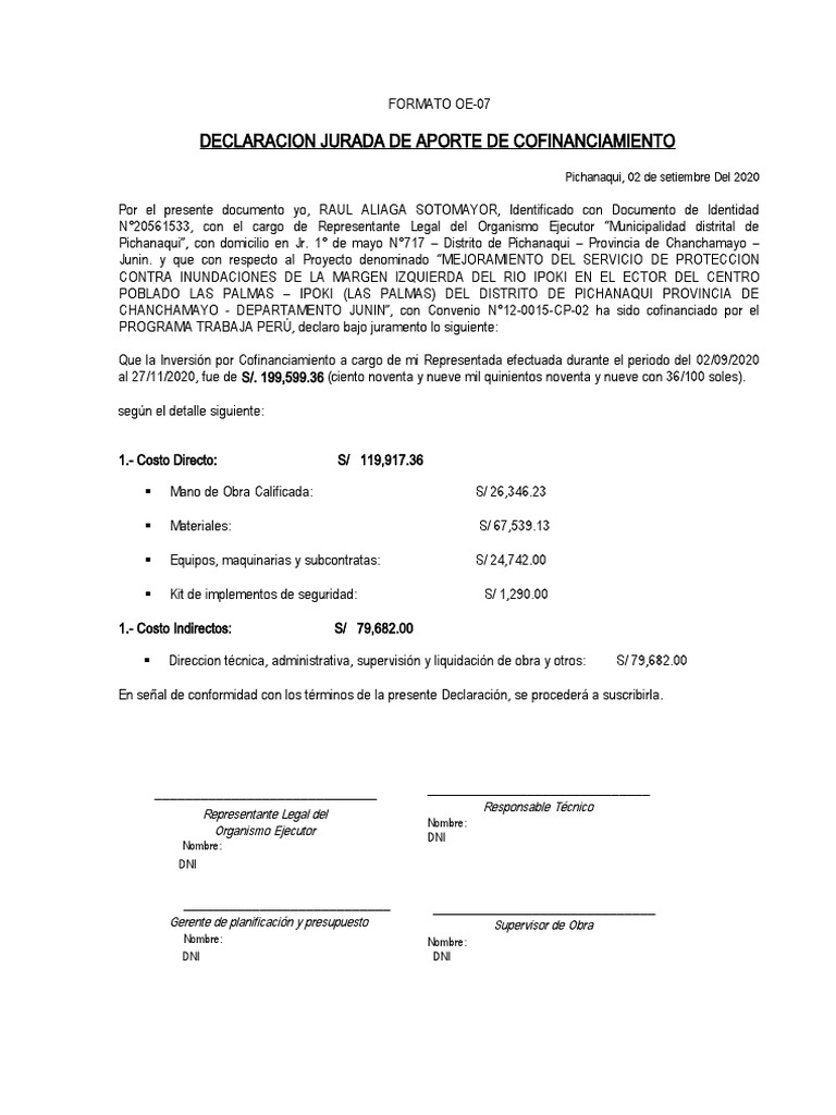 Formato Oe-07 | PDF | Gobierno | Business