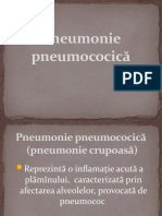 Pneumonie Pneumococica