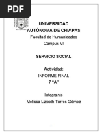 Servicio Social Final