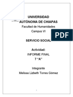 SERVICIO SOCIAL FINAL.docx