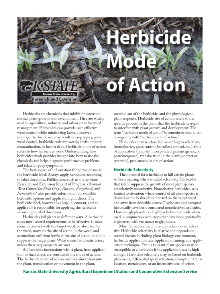 Herbicide Mode of Action PDF Herbicide Soil