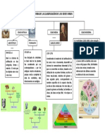 Clasificación de Los Seres Vivos