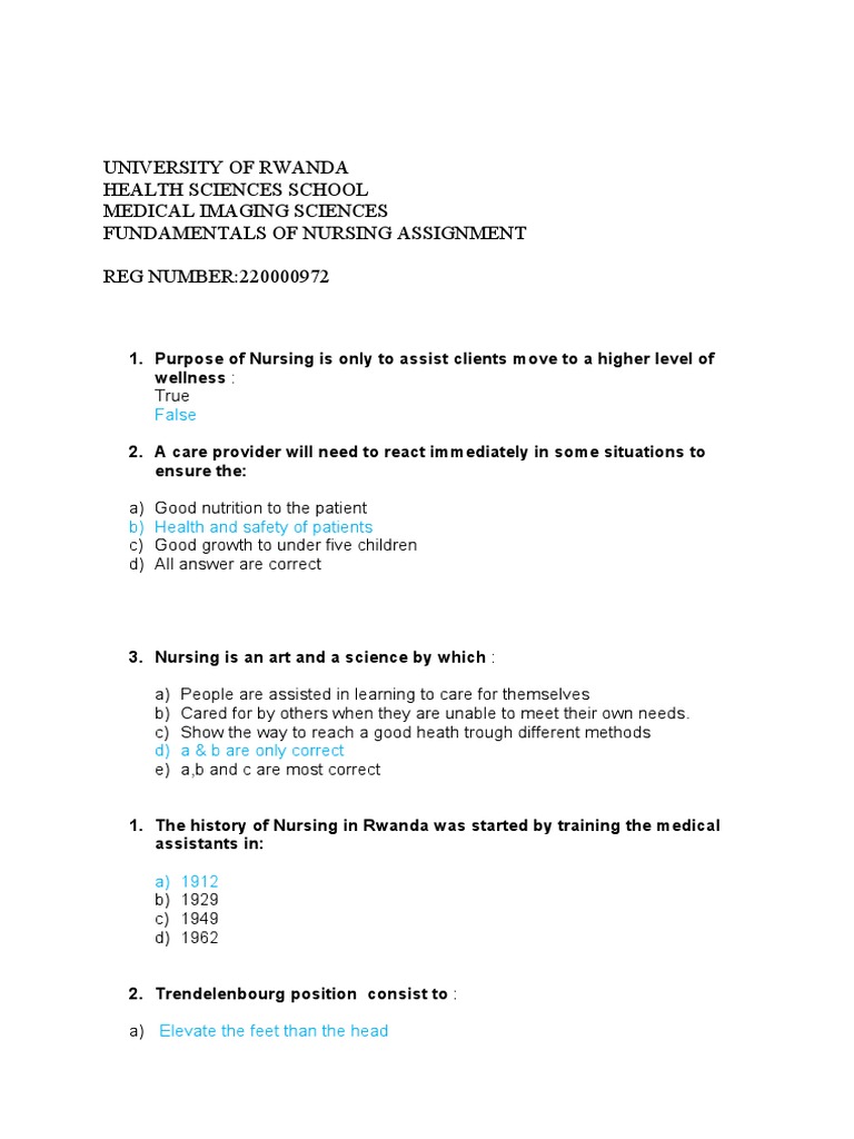 Fundamentals of Nursing Assignment Guide | PDF