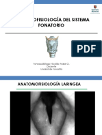 Anatomia Del Sistema Fonatorio PDF