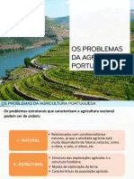 Características e Problemas Da Agricultura Portuguesa