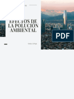 Los Efectos de La Contaminación Ambiental PDF
