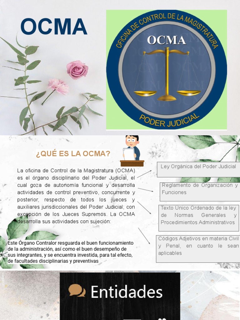 Funciones y Objetivos de la OCMA | PDF | Juez | Gobierno