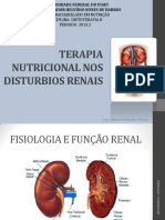TERAPIA NUTRICIONAL NOS DISTURBIOS RENAIS.pdf