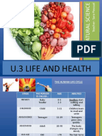 U.3 Life and Health