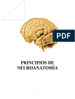 Principios de Neuroanatomía