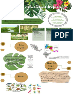 Infografía Bosque Estacional Tropical