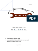 virtosu daniel servis auto.doc