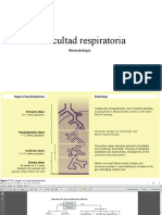 Dificultad Respiratoria