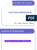 Fases Del Proceso de Auditoria Empresariañ