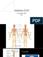 Rangka & Otot PDF