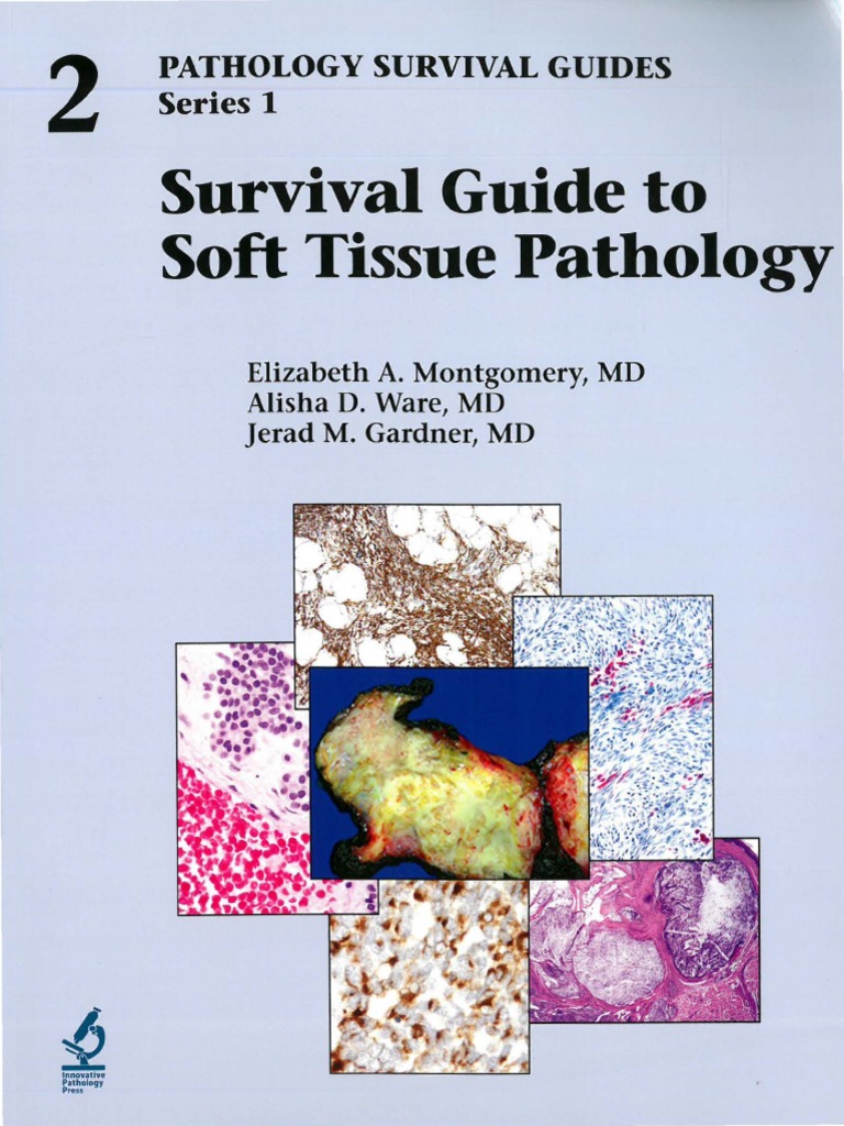 Survival Guide to Thoracic Pathology【新品】 7e821c_50da61266d284b57a2dbb88