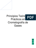 Training en Cromatografía de Gases I Generic PDF