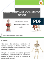 GENERALIDADES DO SISTEMA ÓSSEO. MSc. Carolline Raidan Anatomia Humana - UFES Aula 3