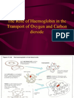 The Role of Haemoglobin in The Transport of Oxygen and Carbon Dioxide