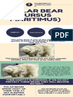 Polar Bear (Ursus Maritimus)