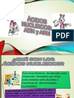 Ácidos Nucleicos ADN y ARN PDF