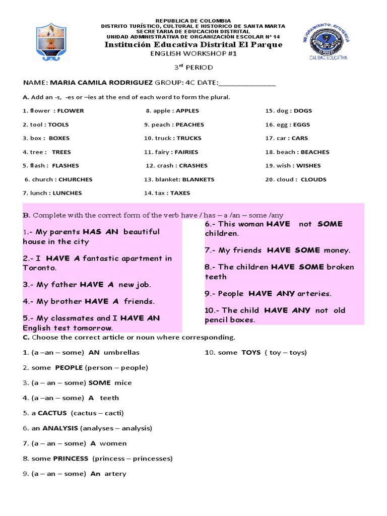 English Plural and Grammar Workshop | PDF