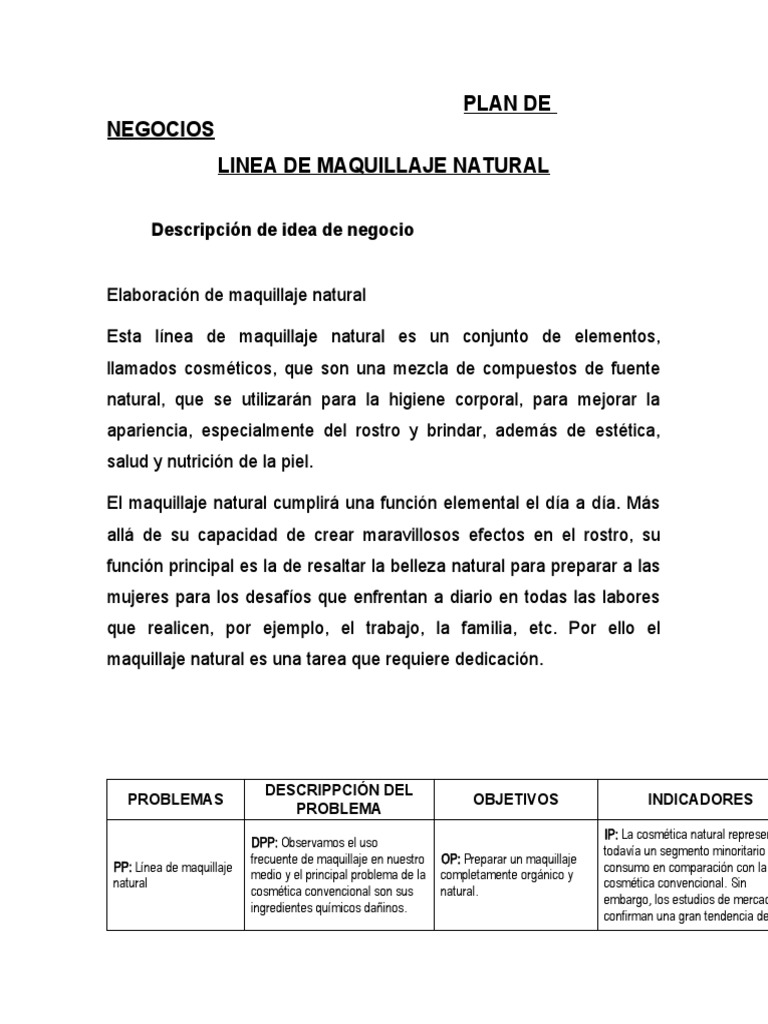 Plan de Negocios 2019 | PDF | Productos cosméticos | Bolivia