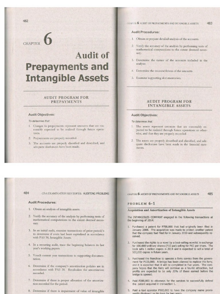 Auditing Problems Gerardo Roque (Prepayments and Intagible Assets) | PDF
